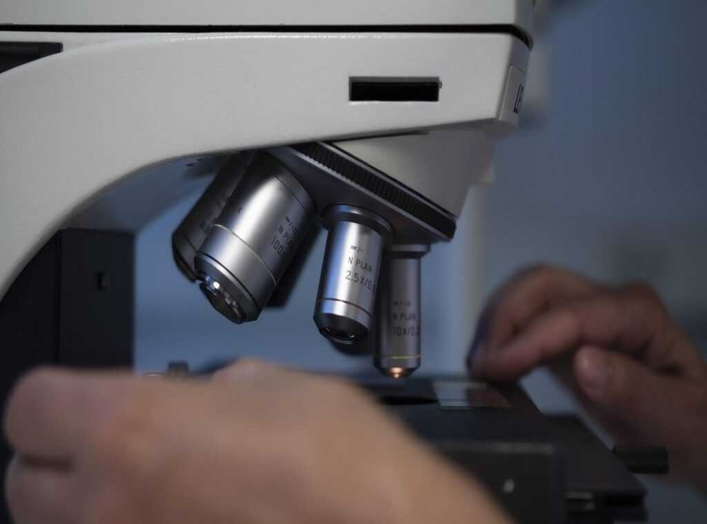 biotechnology advancements