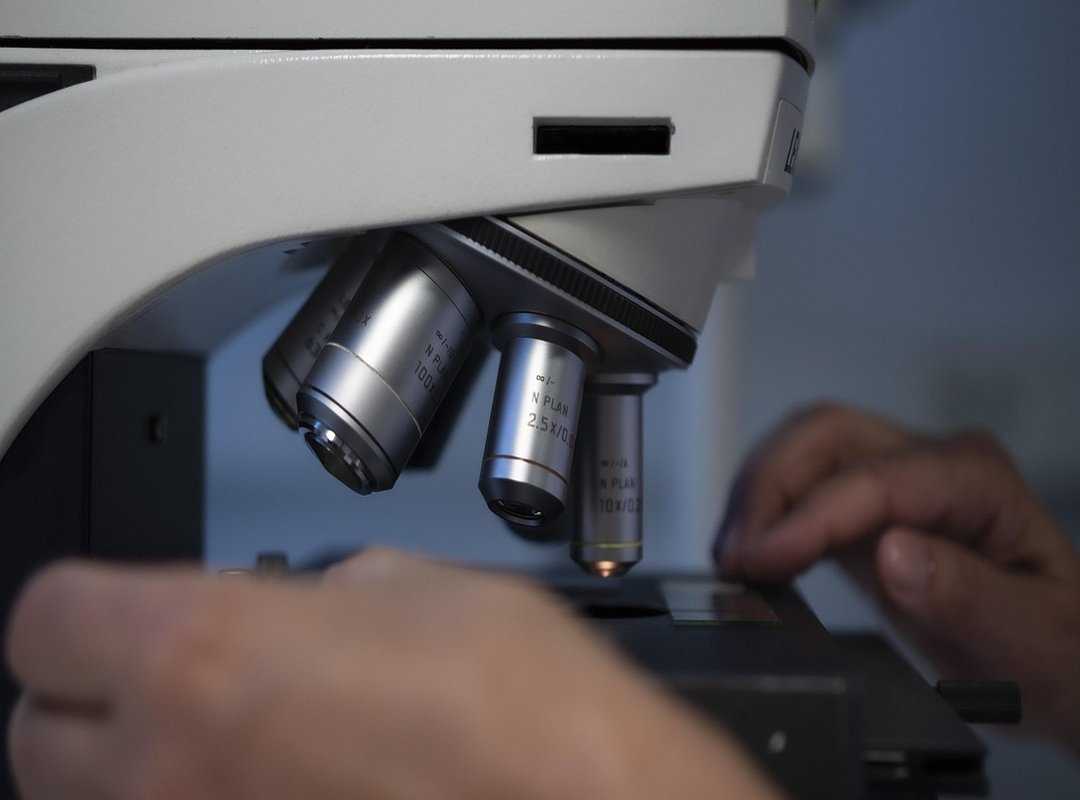 biotechnology advancements