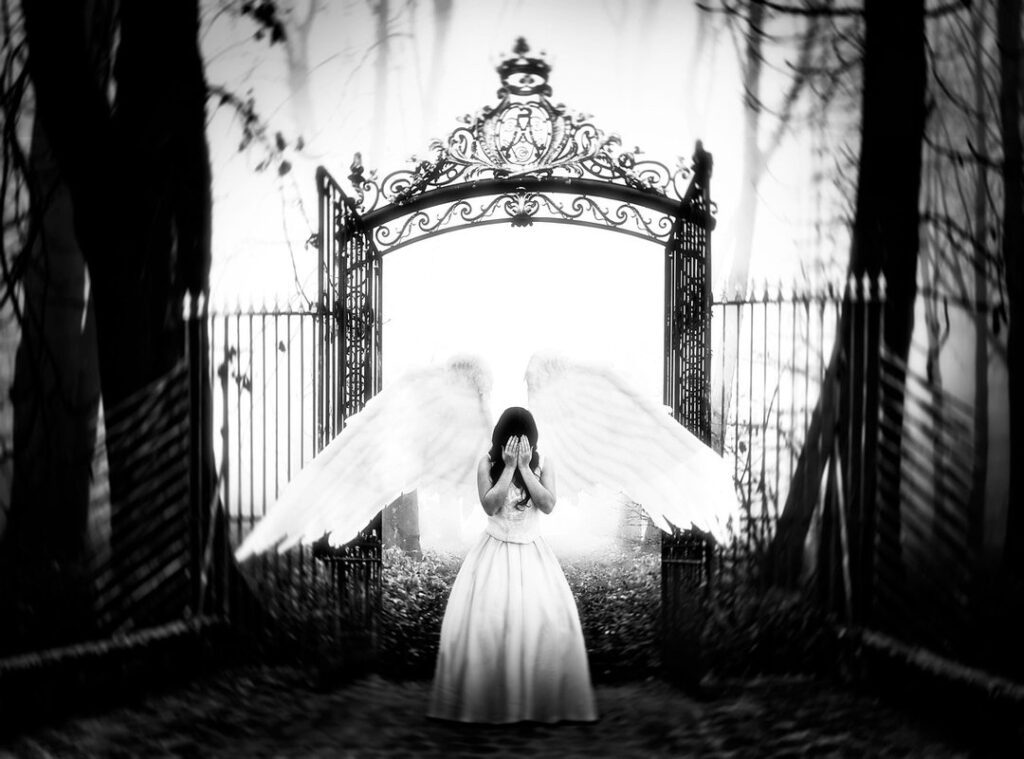 blayzewilliams leaked