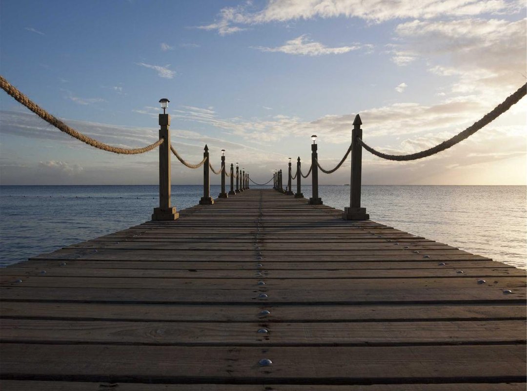 Decoding the Dark Humor: What Does It Actually Mean?