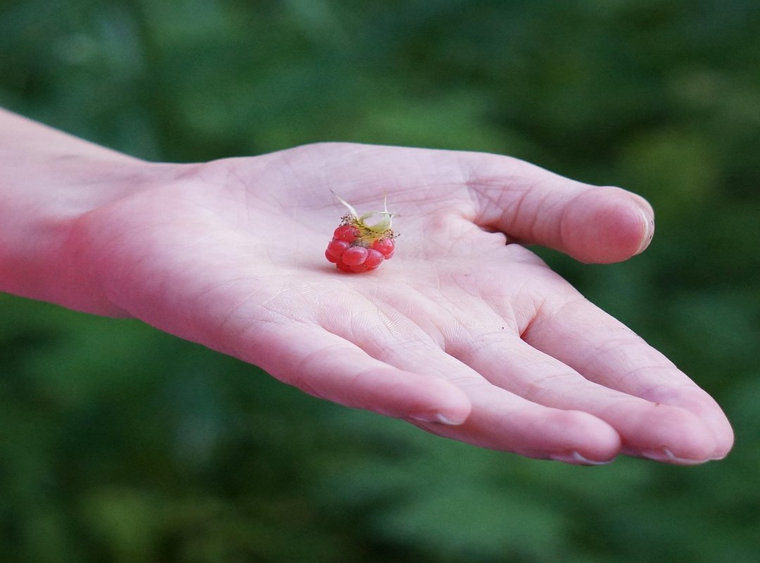 How to Improve Your Financial Position Jexphacks