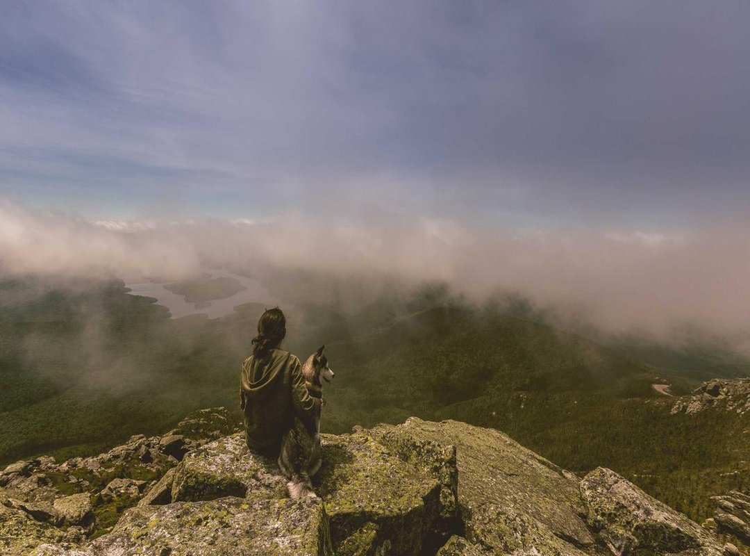 Getting Started: A Quick Walkthrough of the Platform