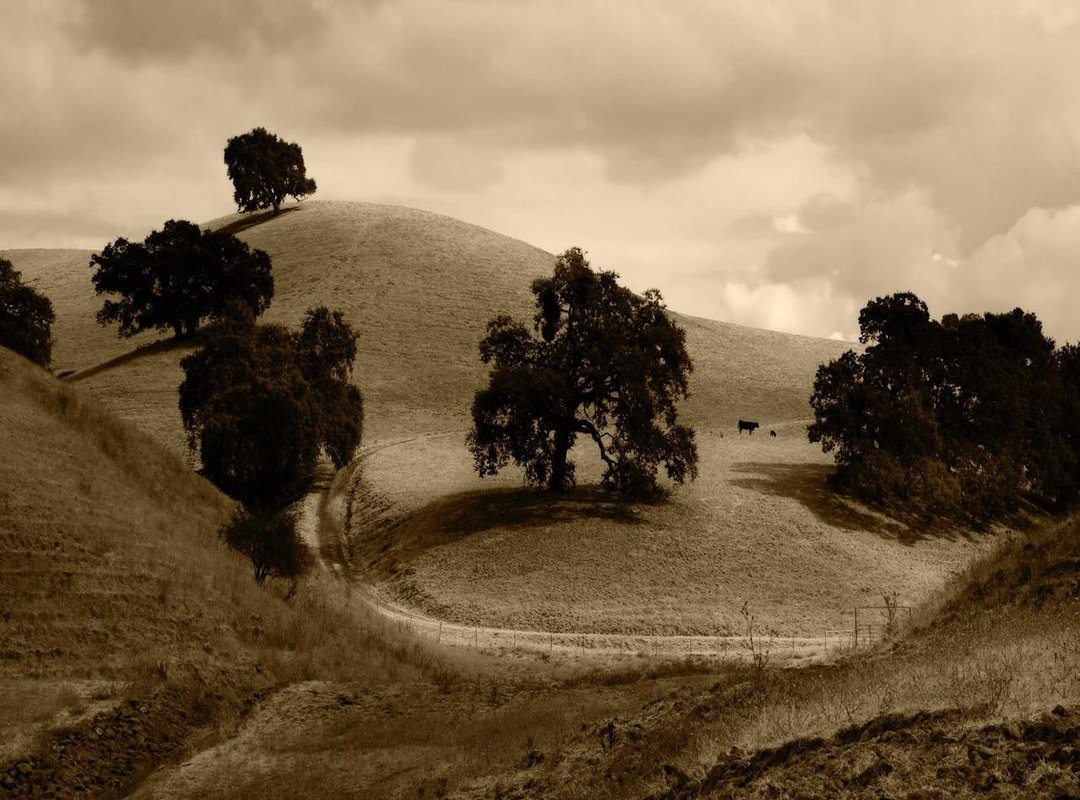 Our Top 3 Picks: A Head-to-Head Comparison