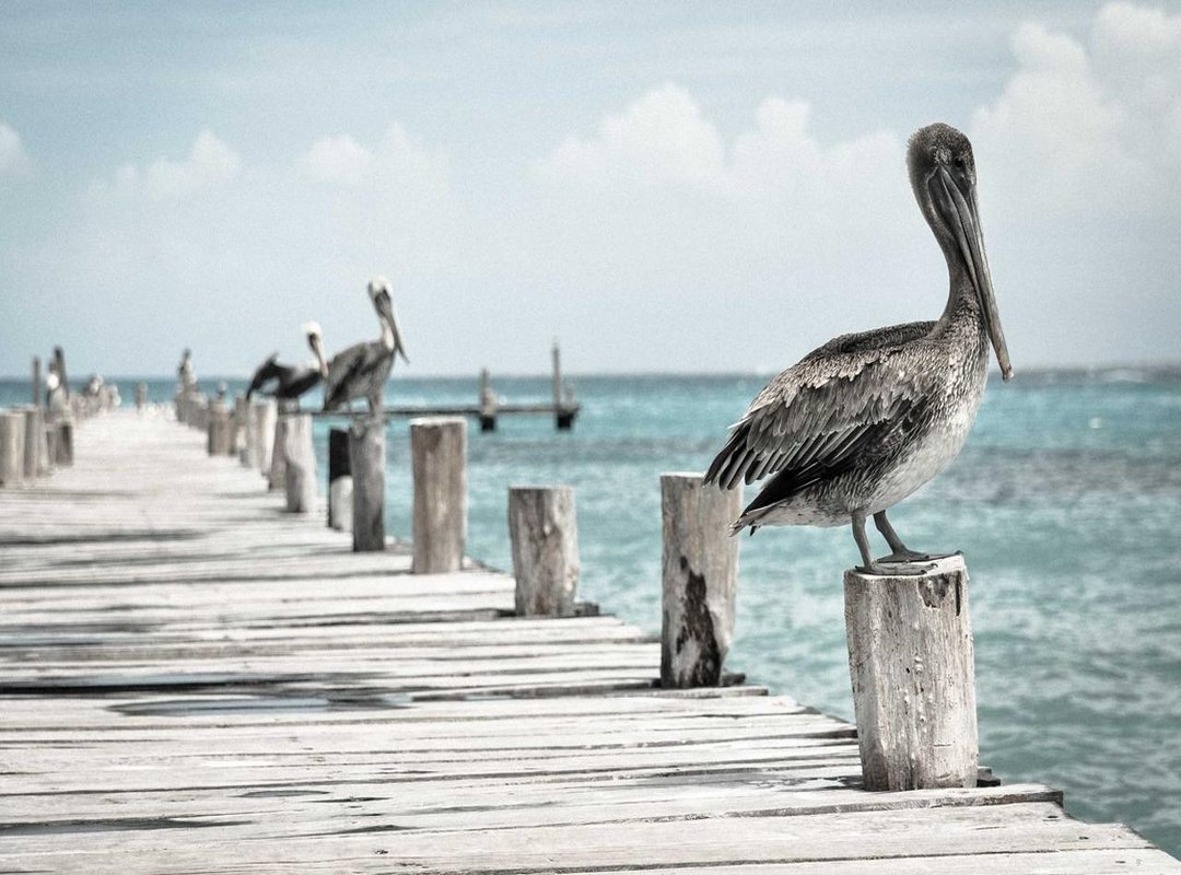 Option #1: A Deep Dive into the Smartest Photo Organizer