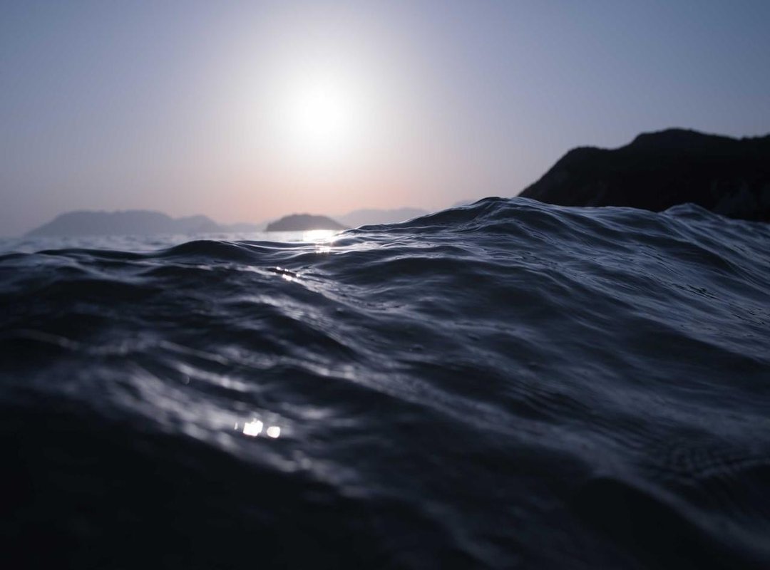 Analyzing the Virality: Why Did This Capture the Internet's Attention?